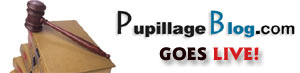 Pupillage Blog goes live on the Internet!!!